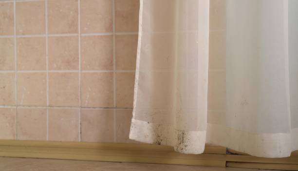 Best Real Estate Mold Inspection  in Rockford, MI