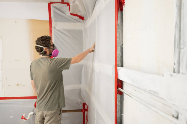 Best Dehumidification Services  in Rockford, MI